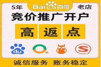 案例展示：托管竞价SEM助力企业实现业绩增长